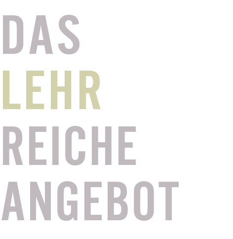 Das lehrreiche Angebot: Training, Weiterbildung, Schulungen

